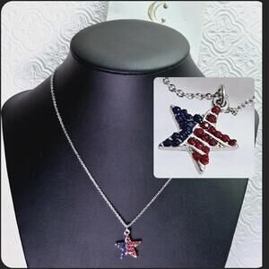 Charming Charlie Patriotic USA Flag Star Dainty Silver Tone Necklace NWT
